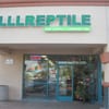 Lllreptile Menifee Ca