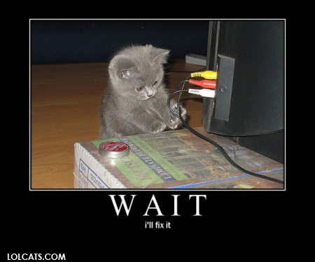 Lolcats Funny Pictures