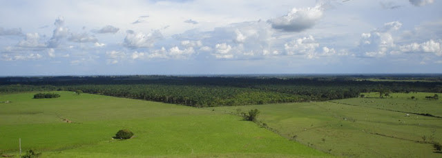 Los Llanos Orientales Colombia