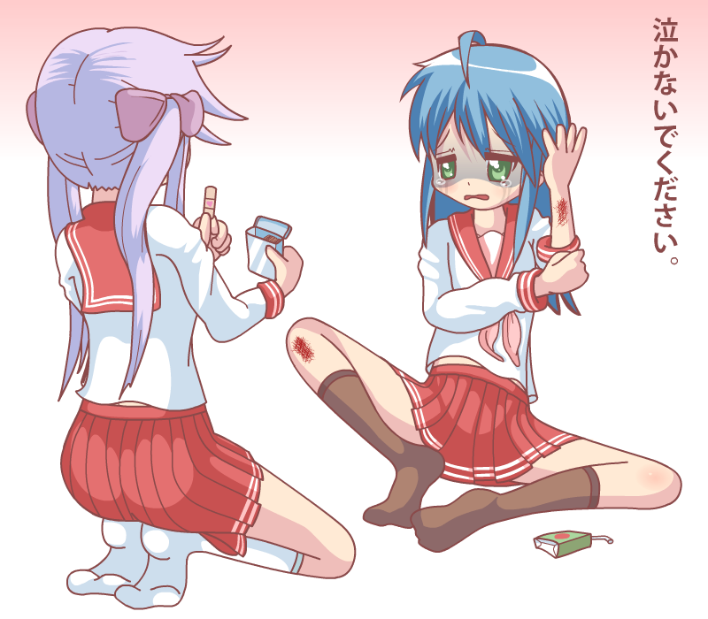 Lucky Star Konata And Kagami