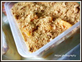 Mango Float Recipe With Knox