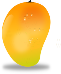 Mango Fruit Drawing