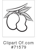 Mangoes Clipart