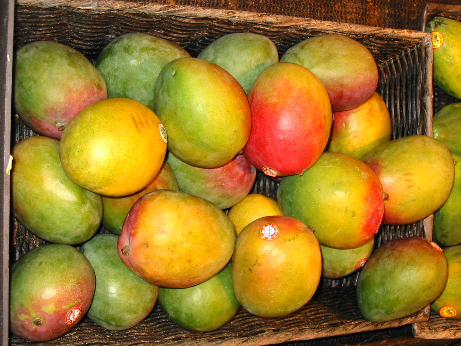 Mangoes Fruit