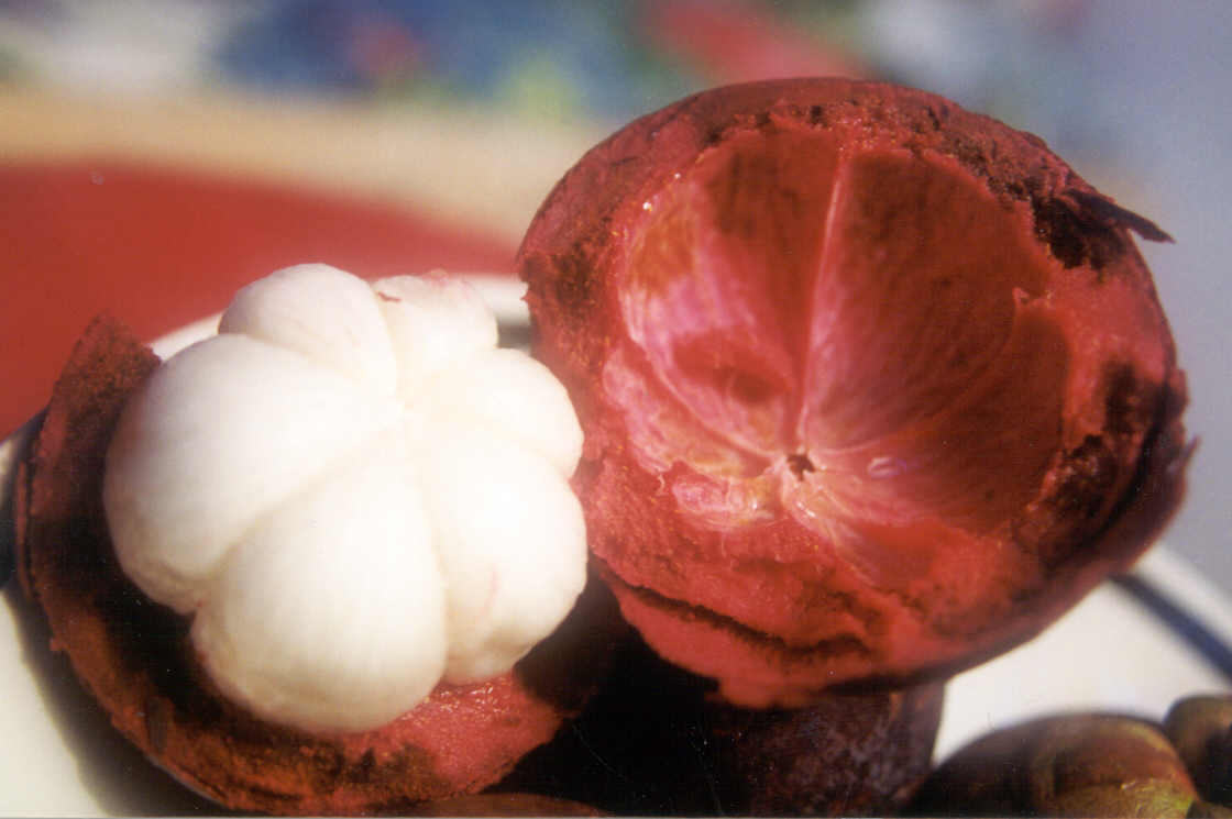 Mangosteen Fruit