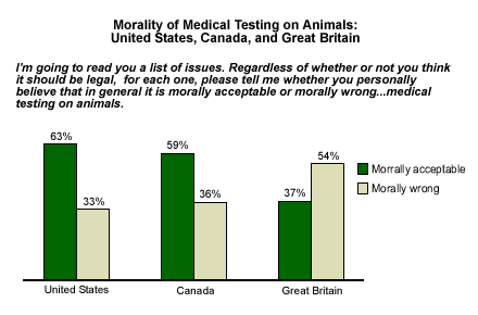 Medical Testing On Animals