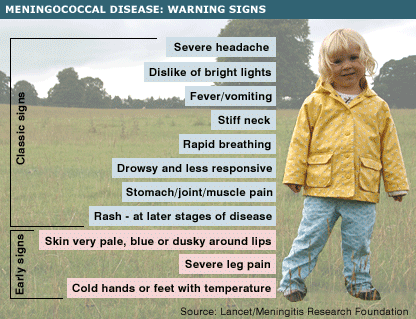 Meningitis Rash Early Stages