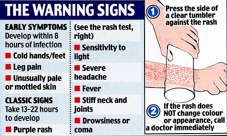 Meningitis Rash On Back