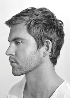 Mens Hairstyles 2012 Short