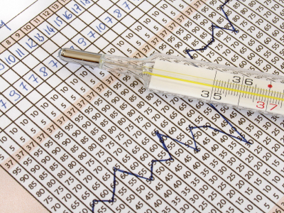 Menstrual Cycle Chart Printable