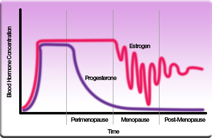 Menstrual Cycle Hormones Mood