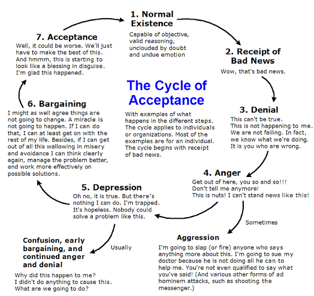 Menstrual Cycle Stages Diagram