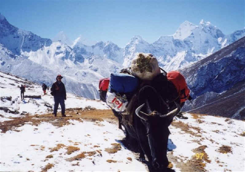 Mount Everest Base Camp Trekking