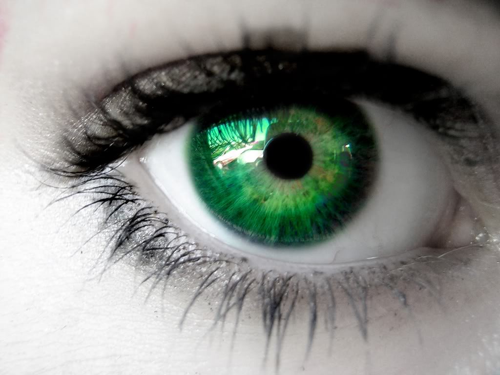 Pictures Of Green Eyes Close Up