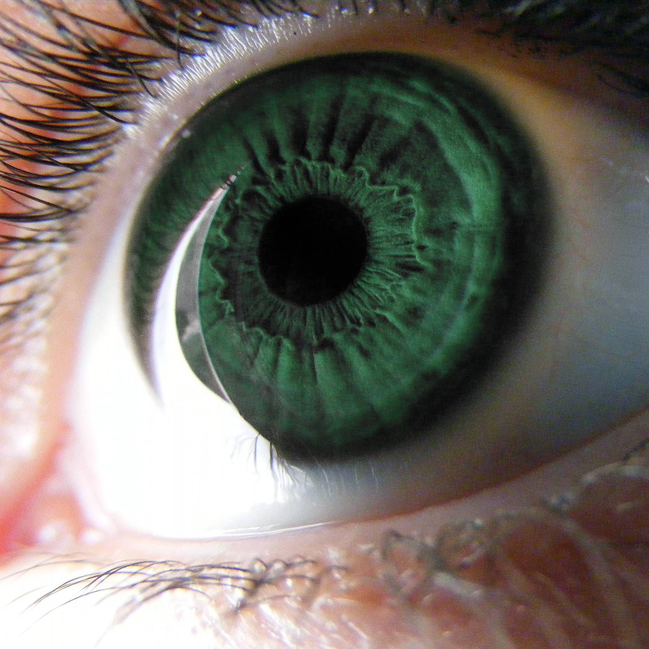 Pictures Of Green Eyes Close Up