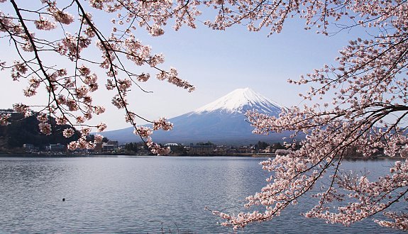 Pictures Of Mount Fuji Japan