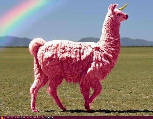 Pink Llamacorn