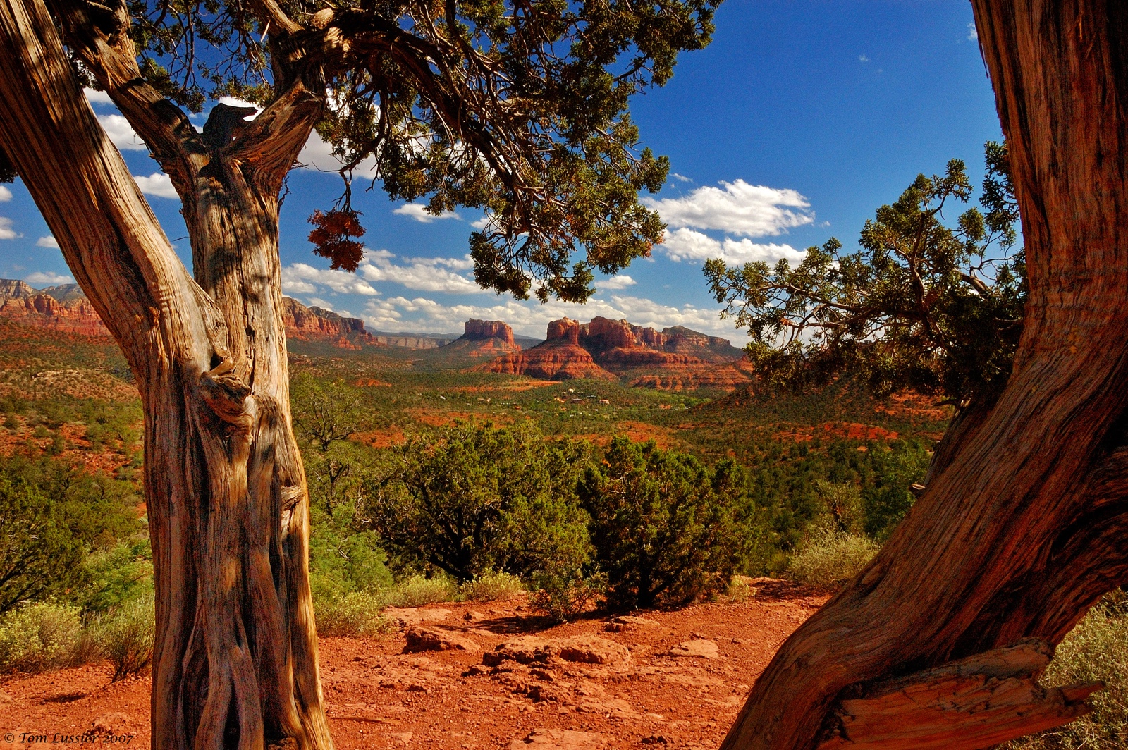 Sedona Az Mountain Bike Trails