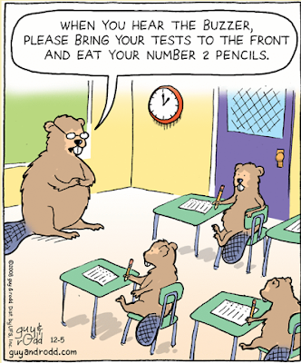 Standardized Testing Cartoon