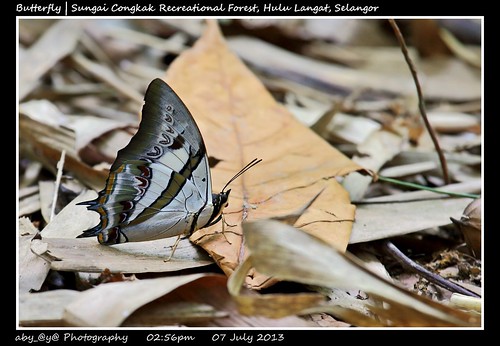 Sungai Congkak Hulu Langat Selangor Malaysia