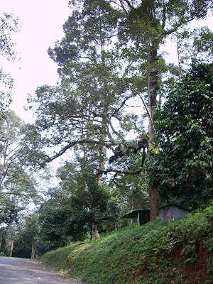 Sungai Gabai Waterfalls Hulu Langat Selangor