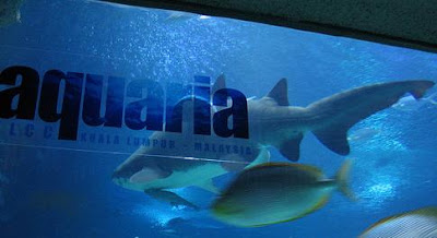 Suria Klcc Aquaria