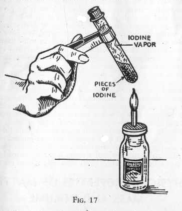 Test Tube Holder Definition