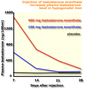 Testosterone Enanthate Results Pics