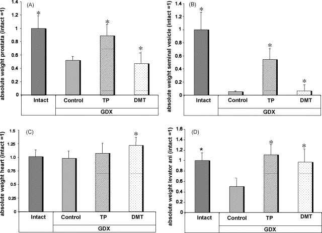 Testosterone Propionate Half Life