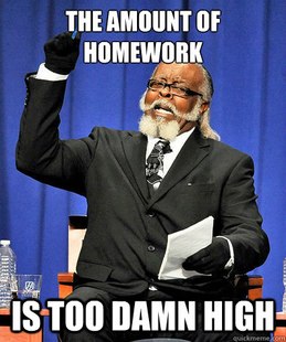 Too Much Homework Meme