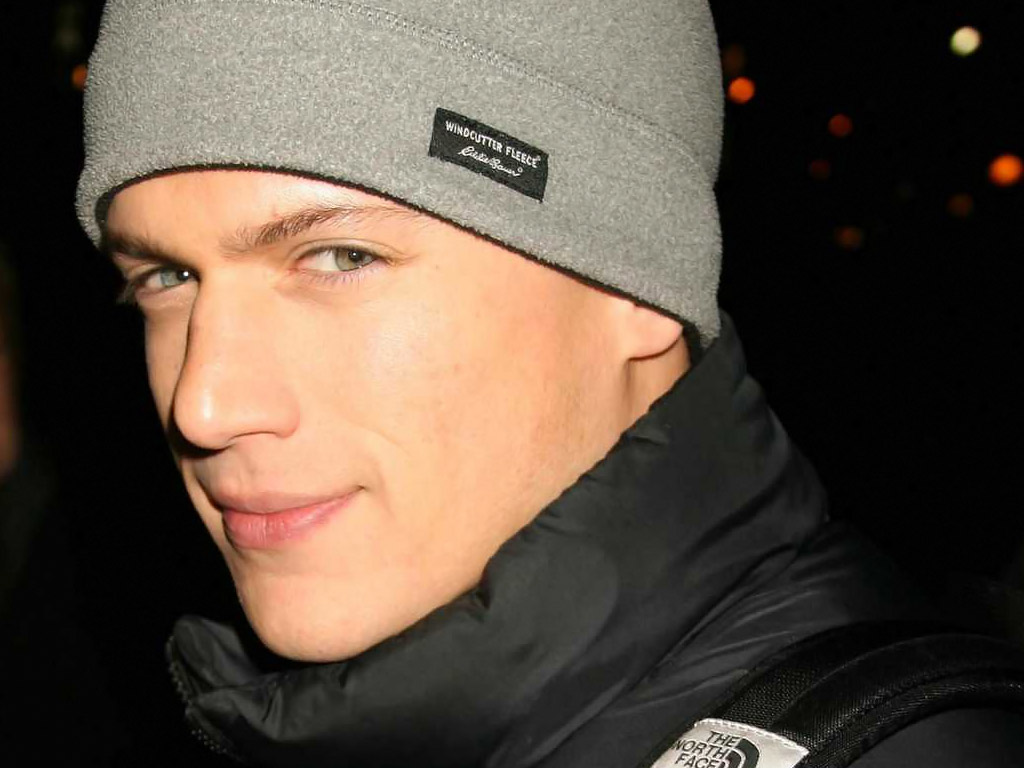 Wentworth Miller Gay Or Not