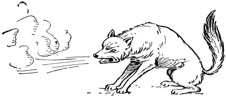 Wolf Huffing And Puffing